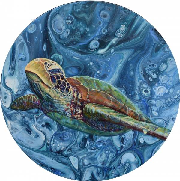 Green Sea Turtle
