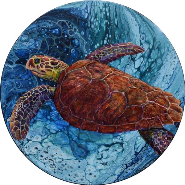 Hawksbill Sea Turtle
