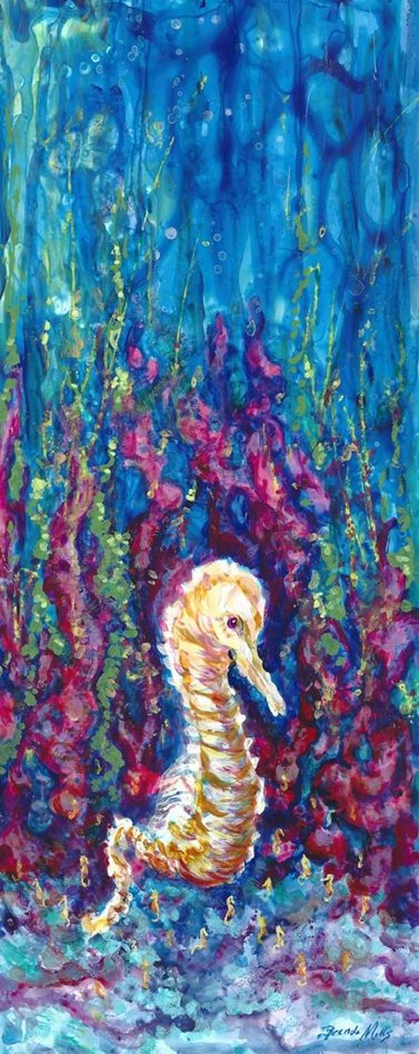 Sea Horse Daddy